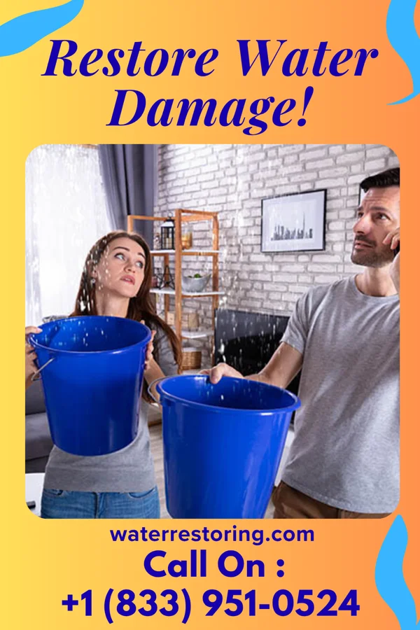 water restoration Allied Water Repair Brothers Wilmot