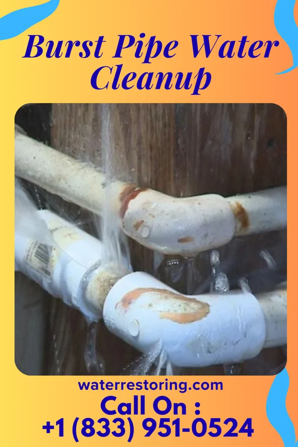 Burst Pipe Water Cleanup in Wilmot, OH