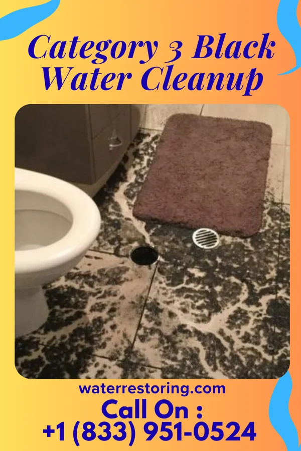 Category 3 Black Water Cleanup in Wilmot, OH