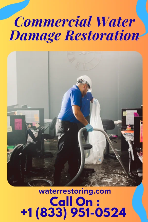 Commercial Water Damage Restoration in Wilmot, OH