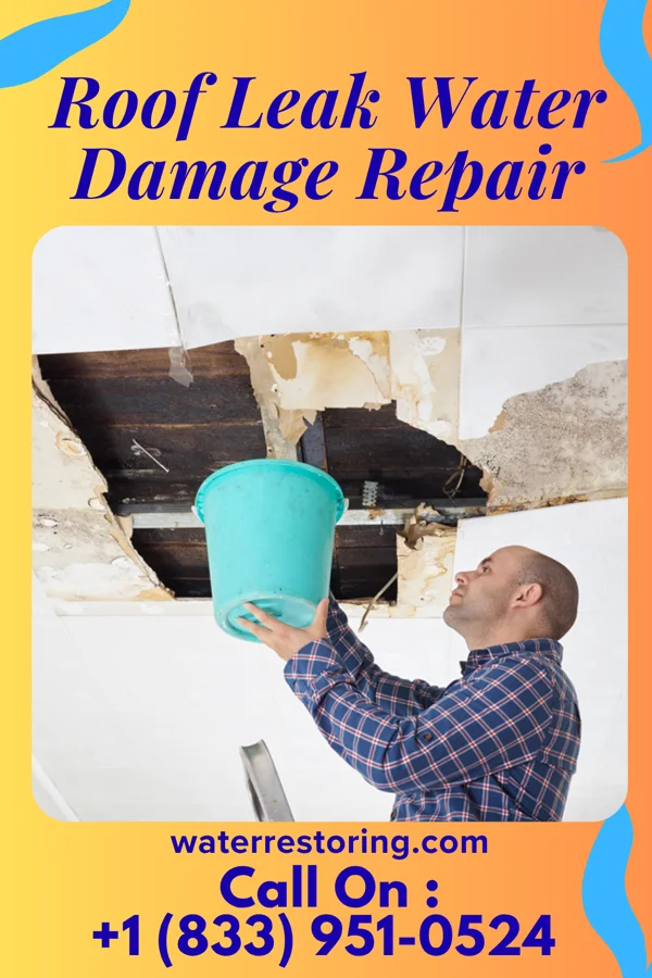 Roof Leak Water Damage Repair in Wilmot, OH
