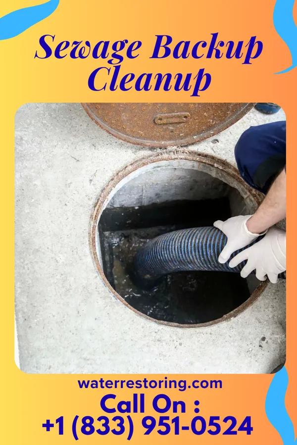 Sewage Backup Cleanup in Wilmot, OH