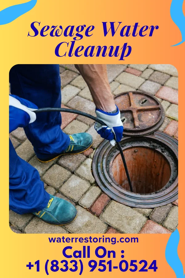 Sewage Water Cleanup in Wilmot, OH