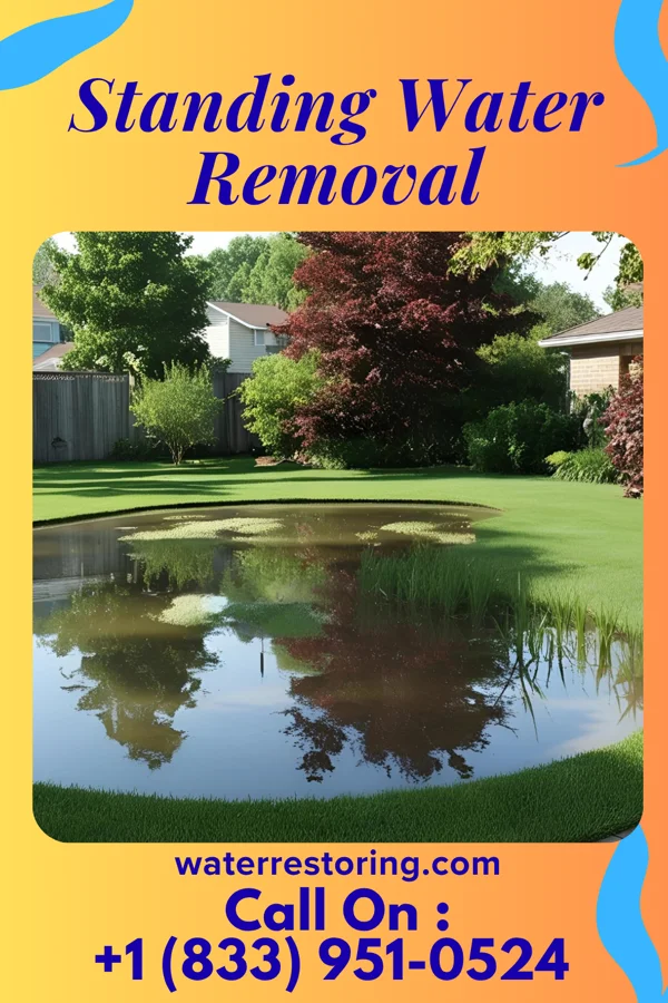 Standing Water Removal in Wilmot, OH